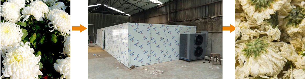 鞏義菊花烘干機(jī)